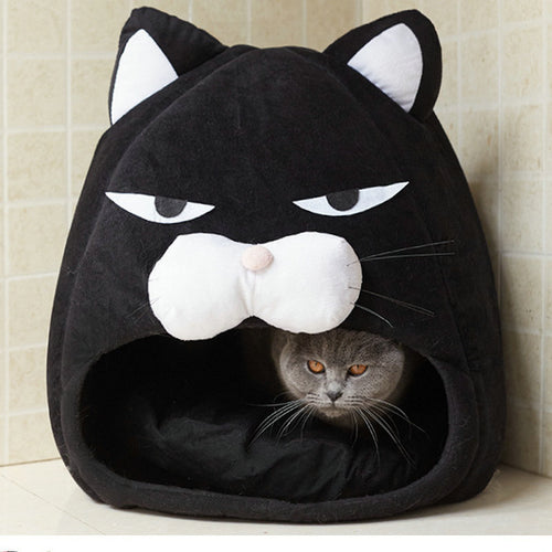 Cat In A Cat