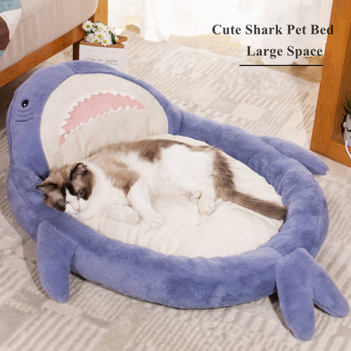 Sleepy Shark