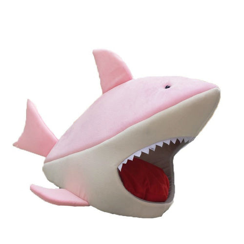 Scary Shark